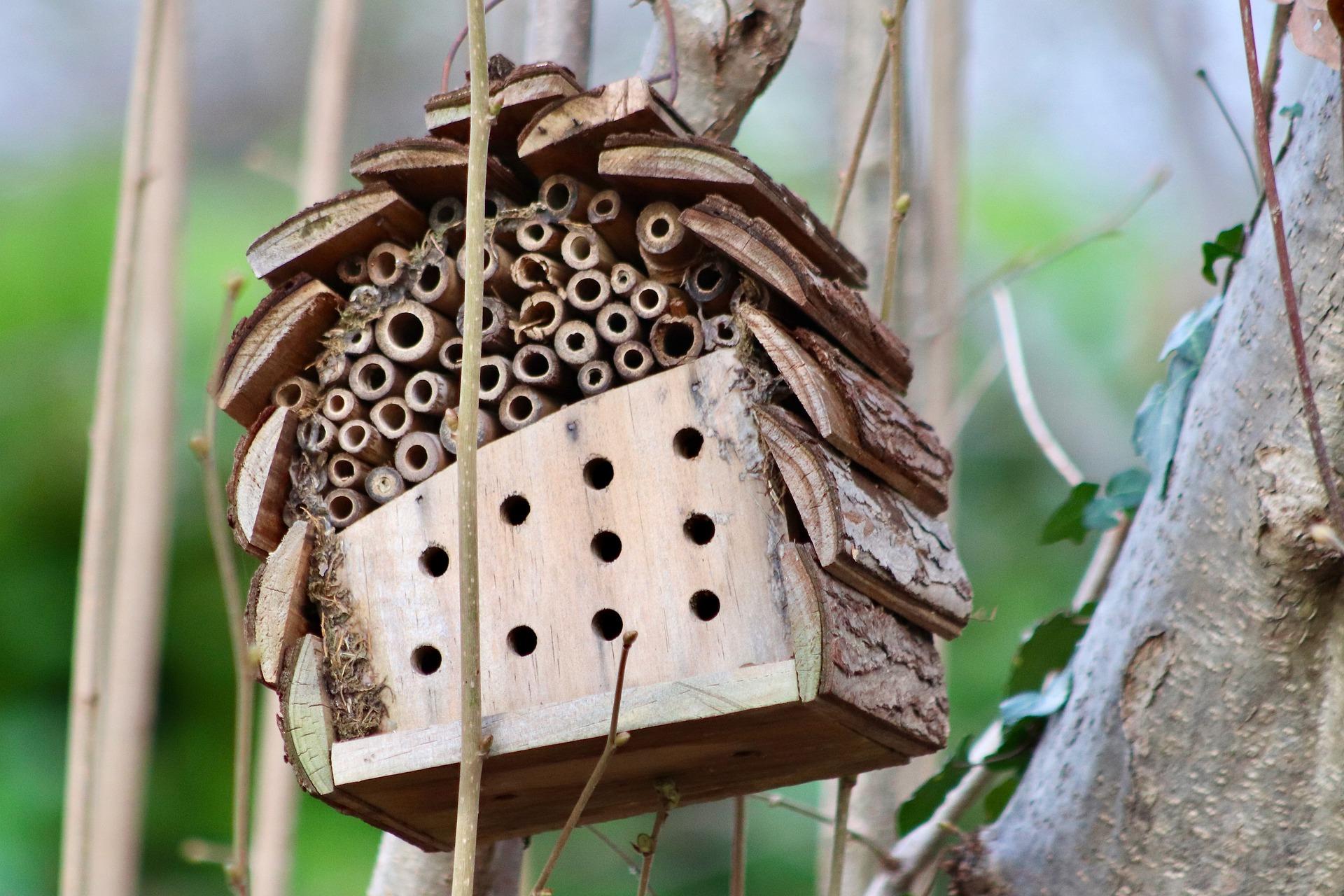 Insect hotel 7753737 1920